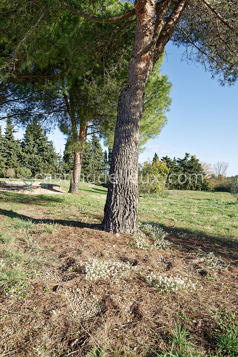 castingdelieux118-FR123-W