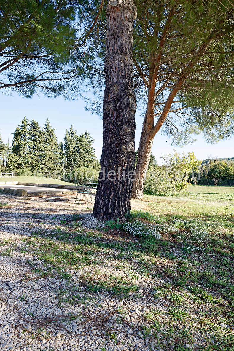 castingdelieux119-FR123-W