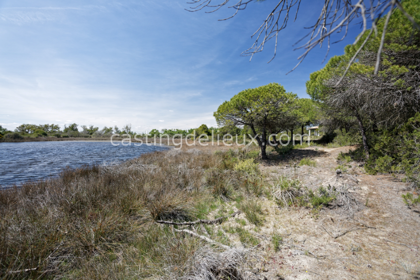 castingdelieux12-FR131-W