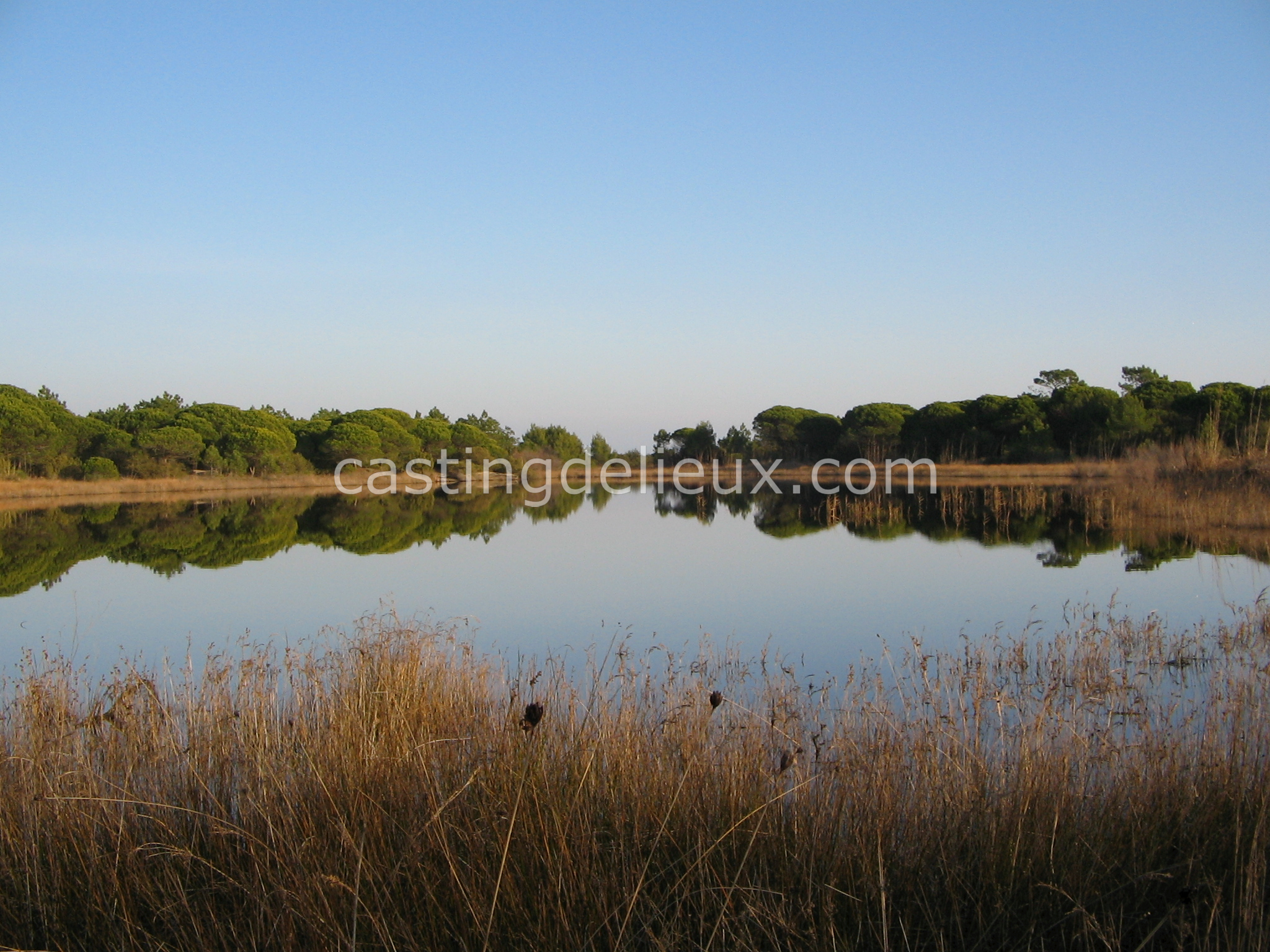 castingdelieux15-FR131-W