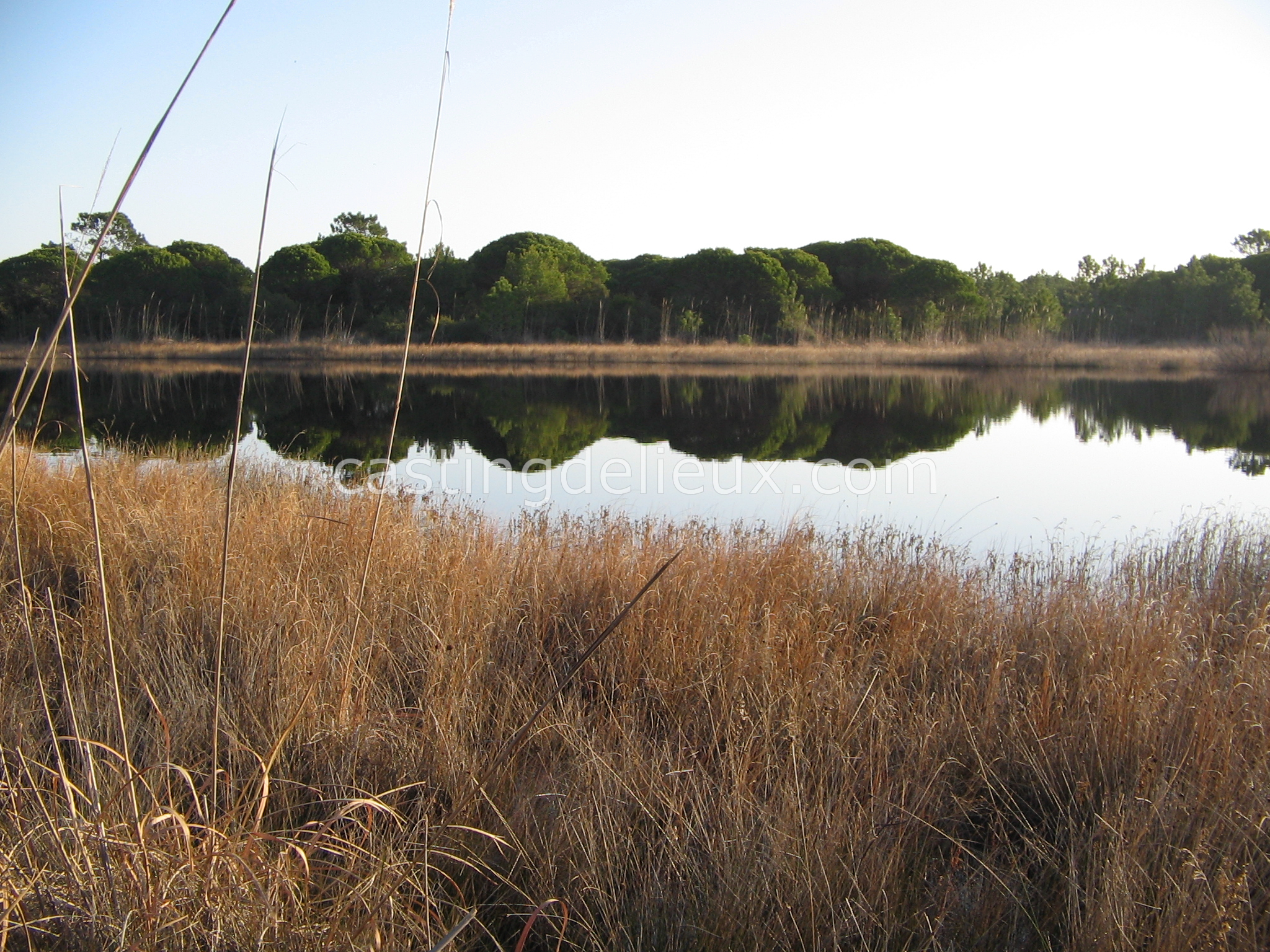 castingdelieux17-FR131-W