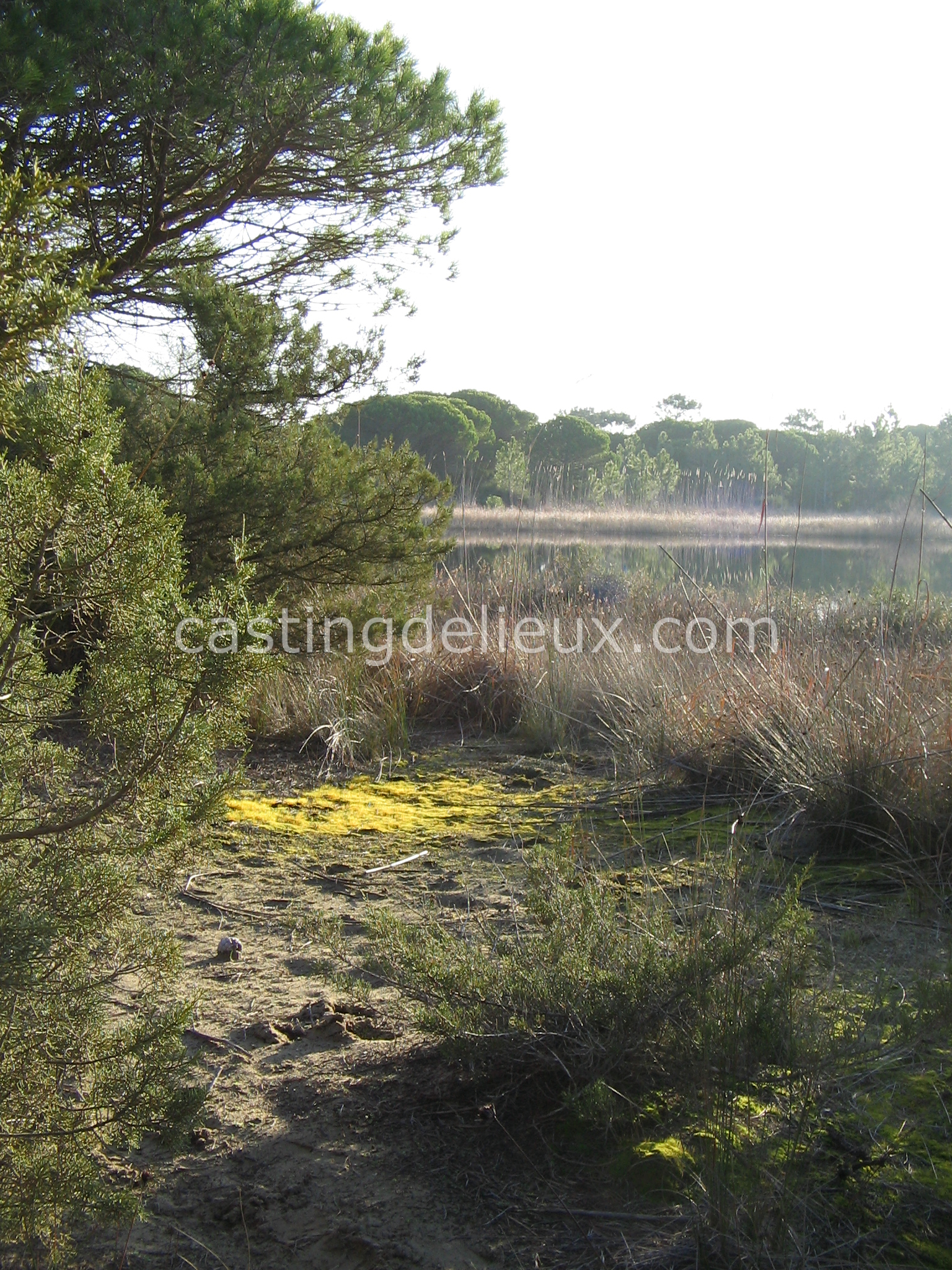 castingdelieux18-FR131-W