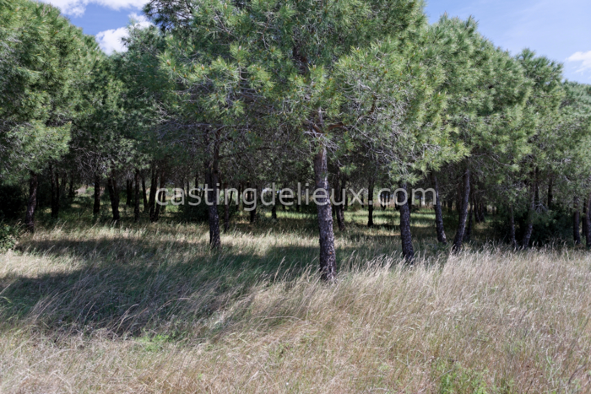 castingdelieux2-FR131-W