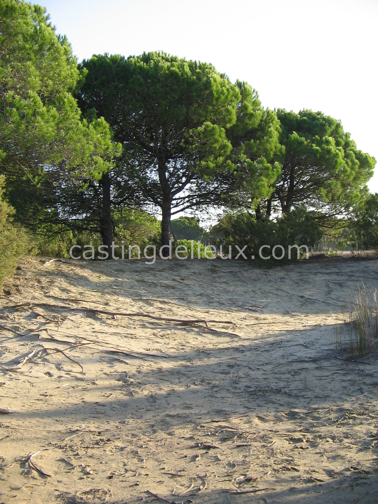 castingdelieux20-FR131-W