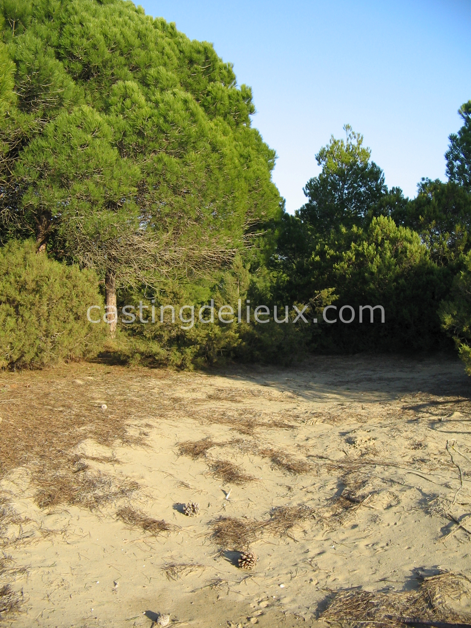 castingdelieux21-FR131-W