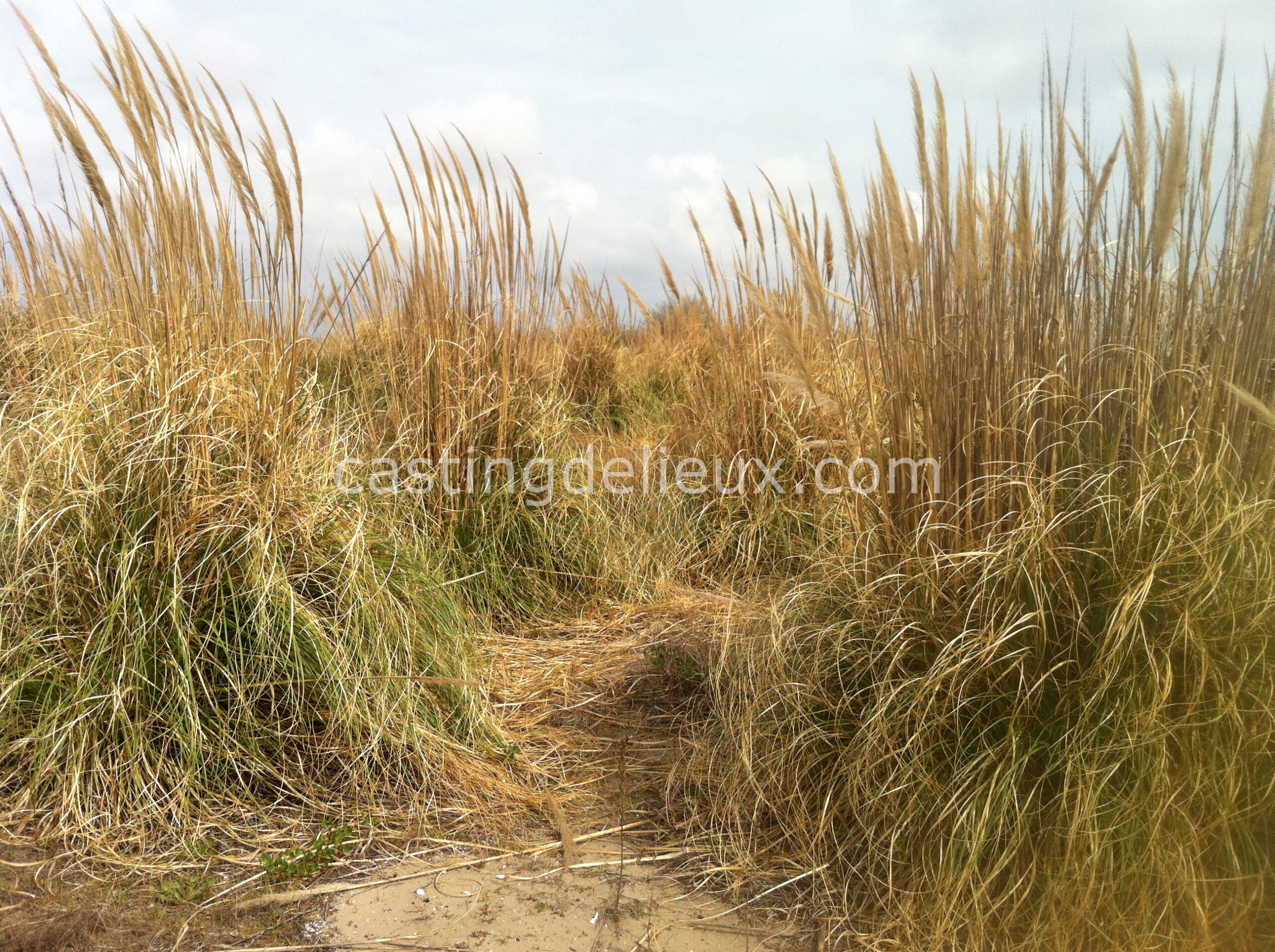 castingdelieux23-FR131-W