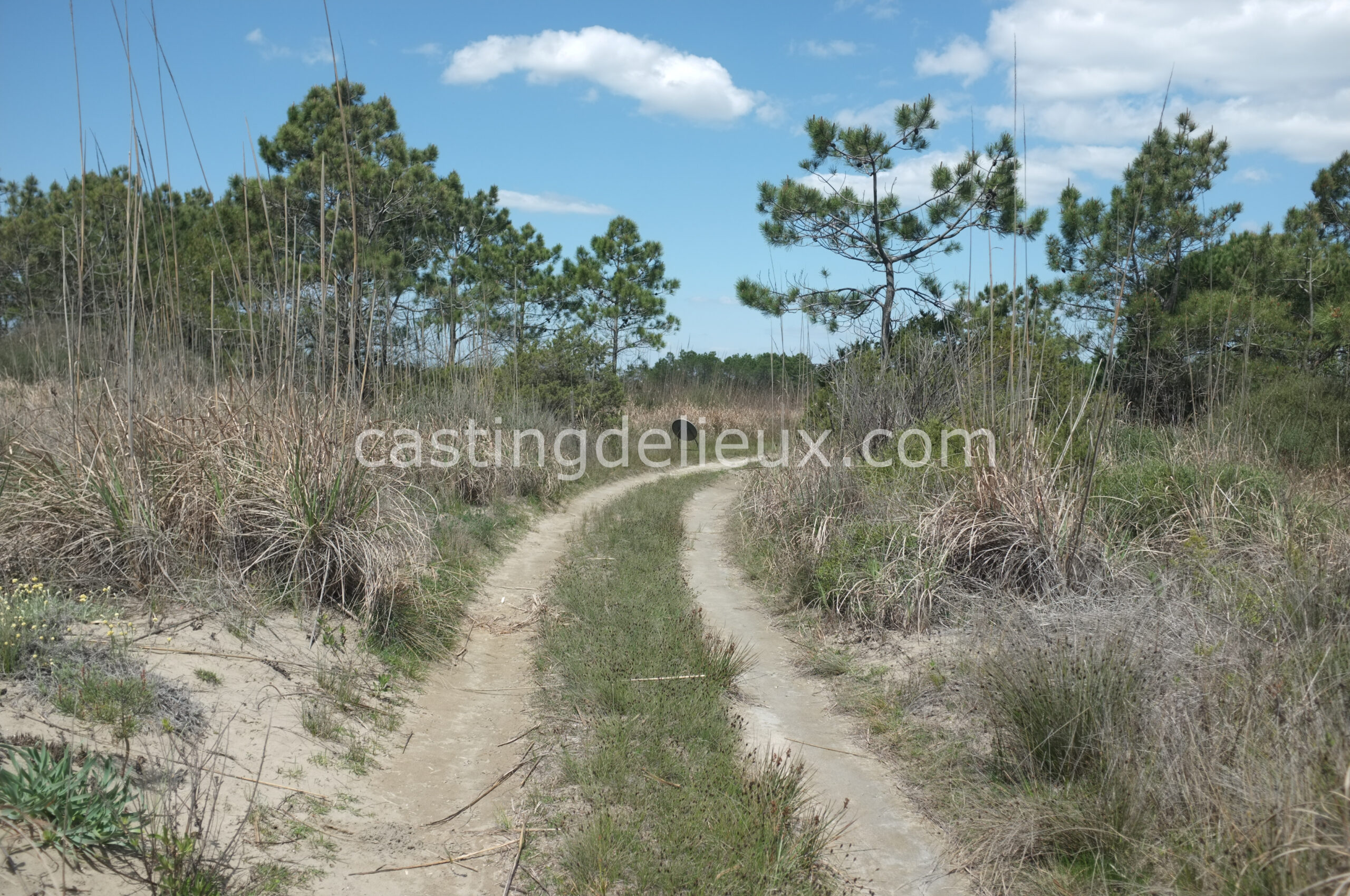 castingdelieux24-FR131-W