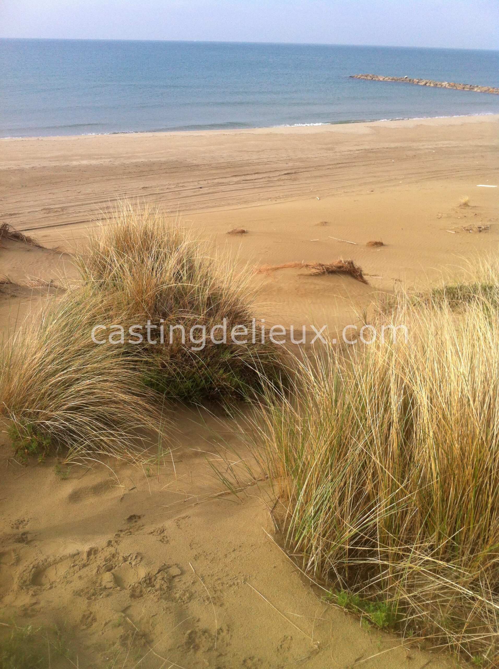 castingdelieux28-FR131-W