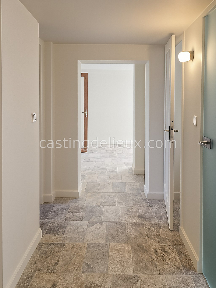 castingdelieux28FR134