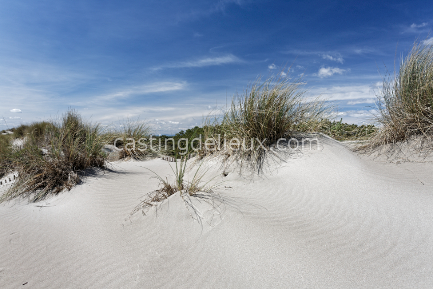 castingdelieux34-FR131-W