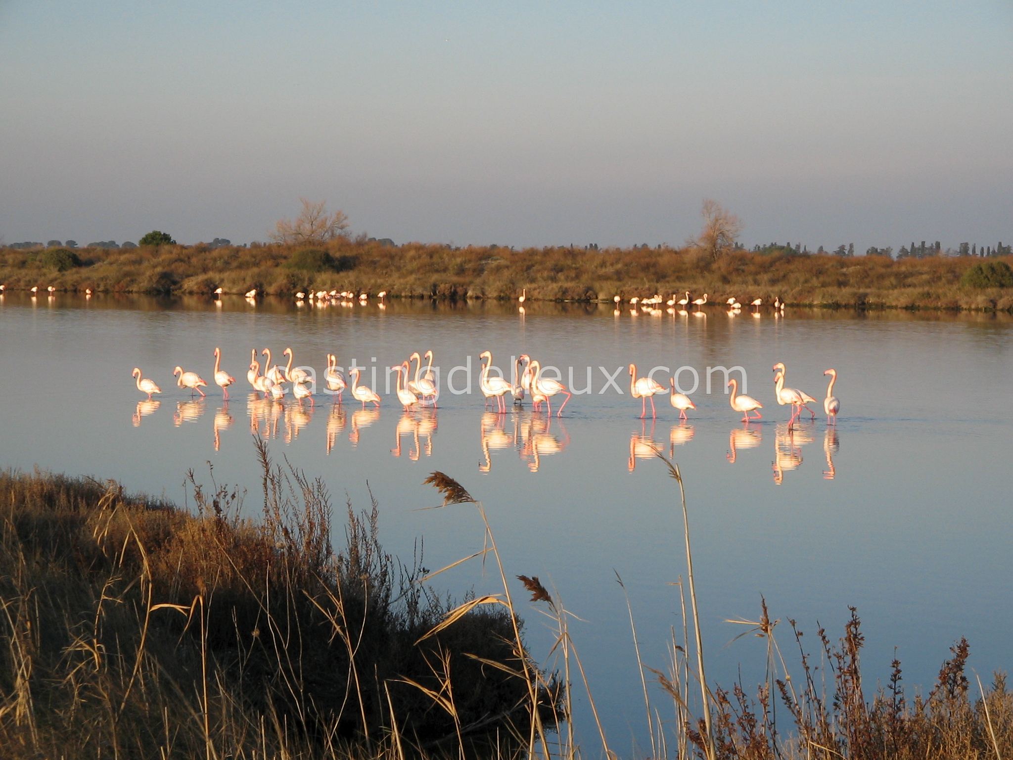 castingdelieux44-FR131-W