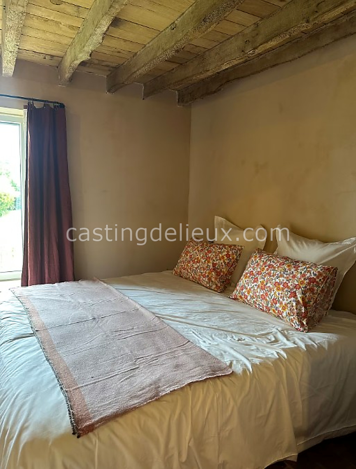 castingdelieux48FR133