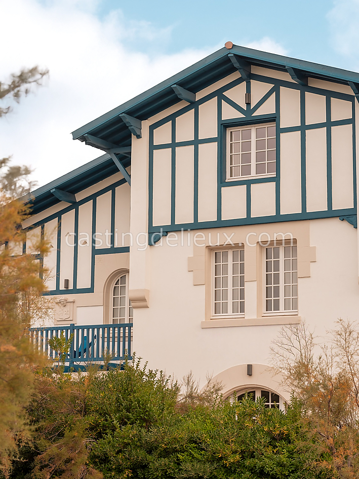 castingdelieux53FR135