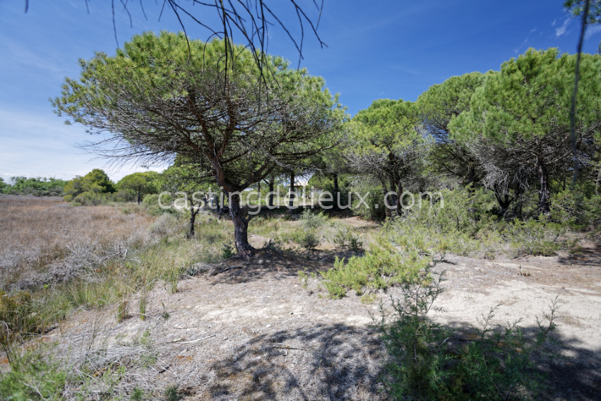 castingdelieux6-FR131-W