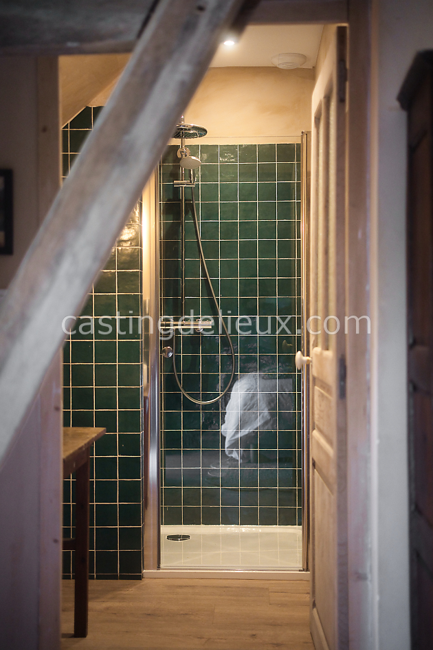 castingdelieux75FR133