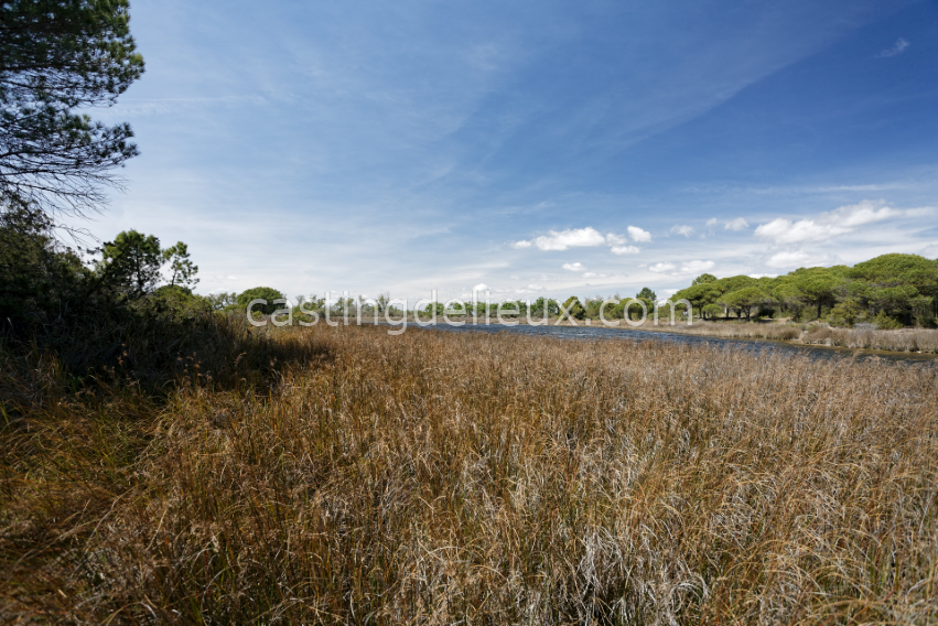 castingdelieux8-FR131-W