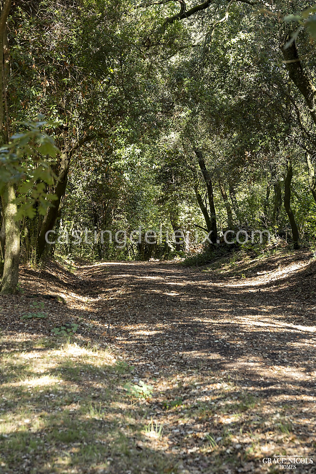 castingdelieux80FR138