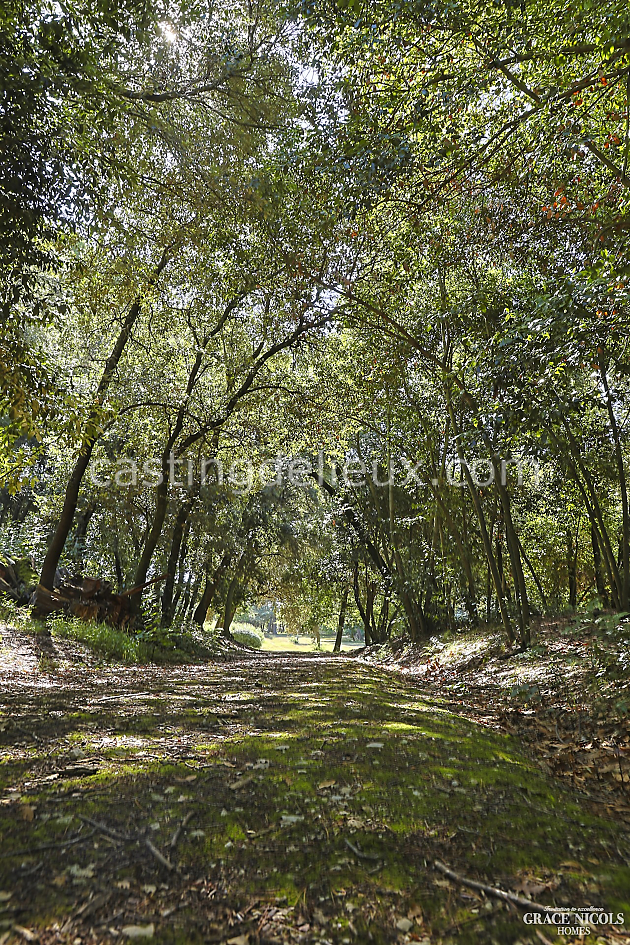 castingdelieux81FR138