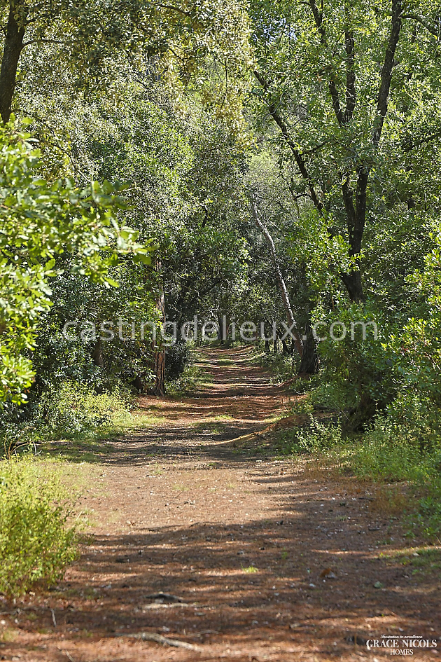 castingdelieux82FR138