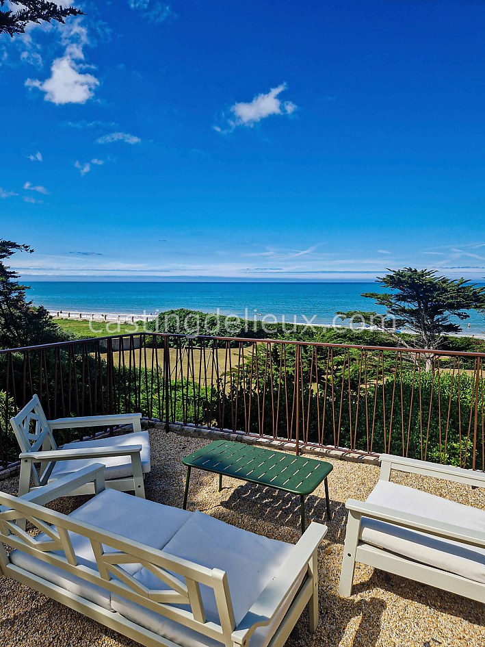 castingdelieux83FR134