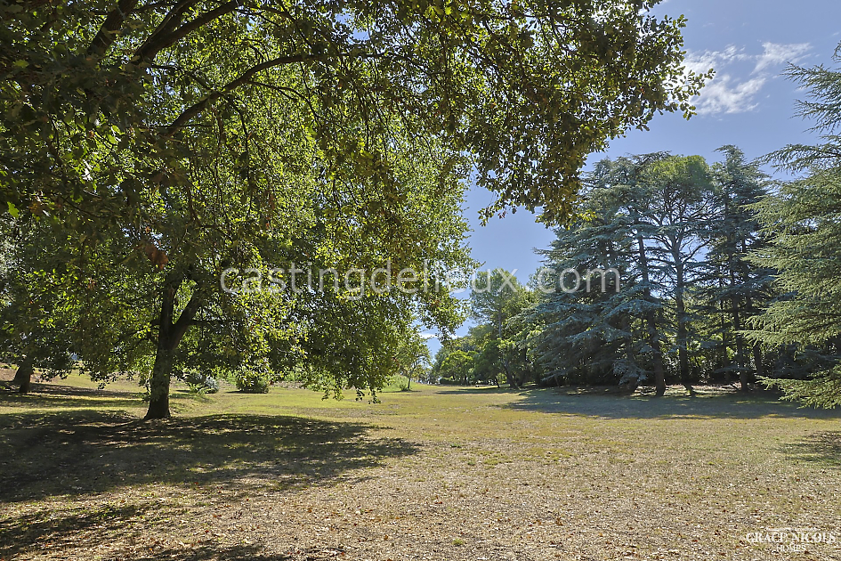 castingdelieux83FR138