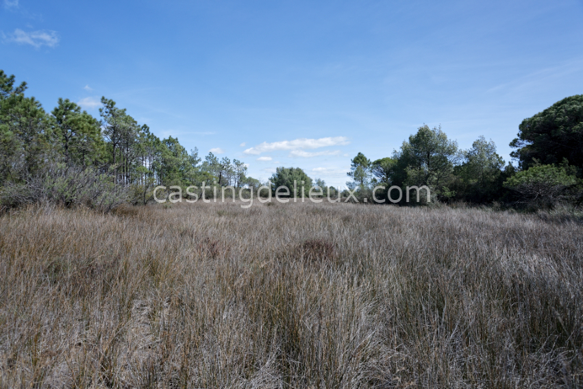 castingdelieux9-FR131-W