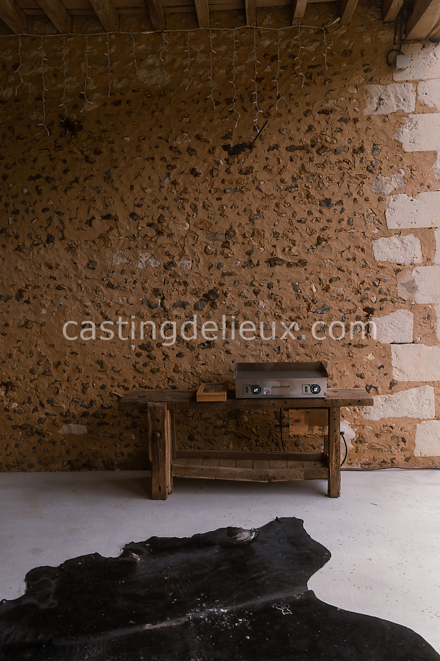 castingdelieux95FR133