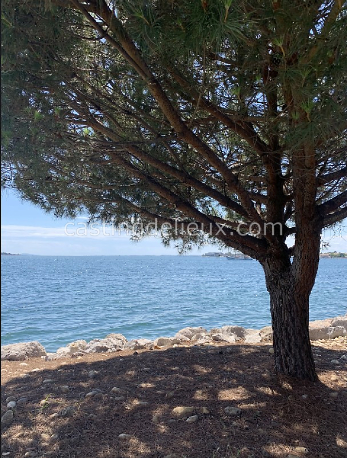 castingdelieux46FR148