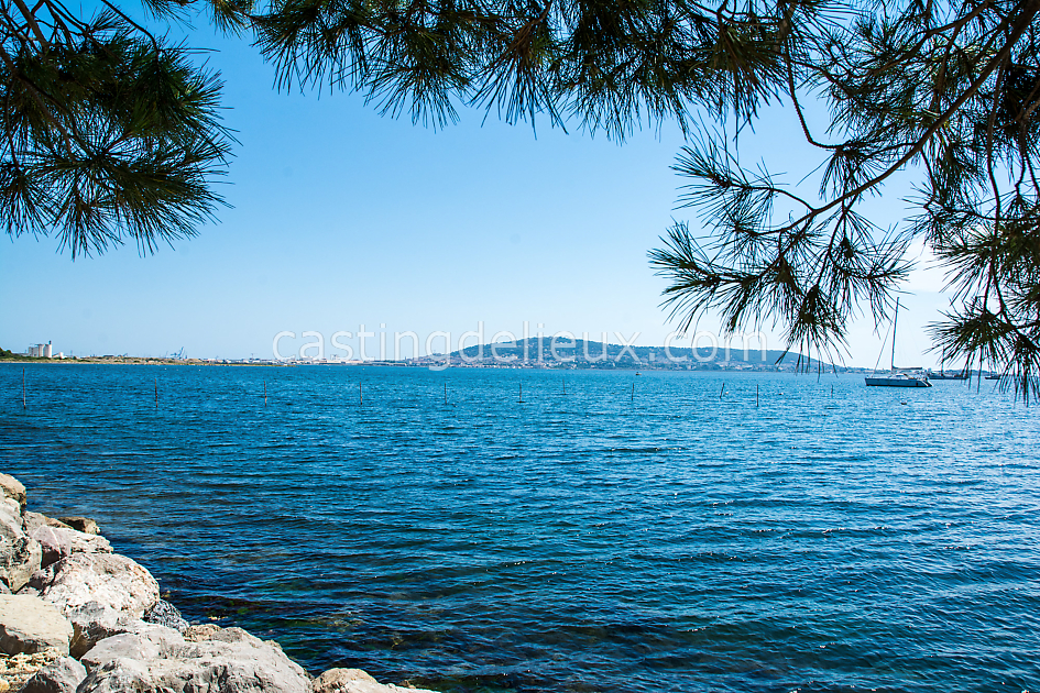 castingdelieux47FR148