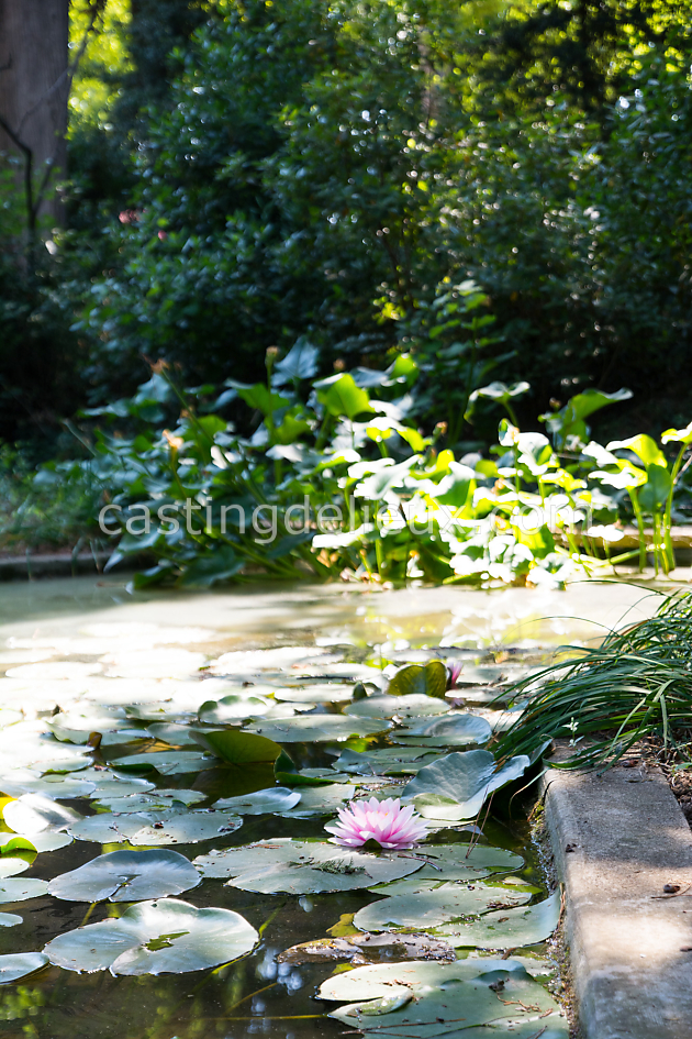 castingdelieux81FR145