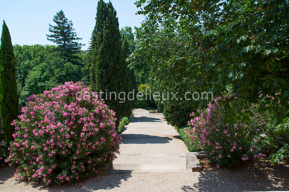 castingdelieux95FR145