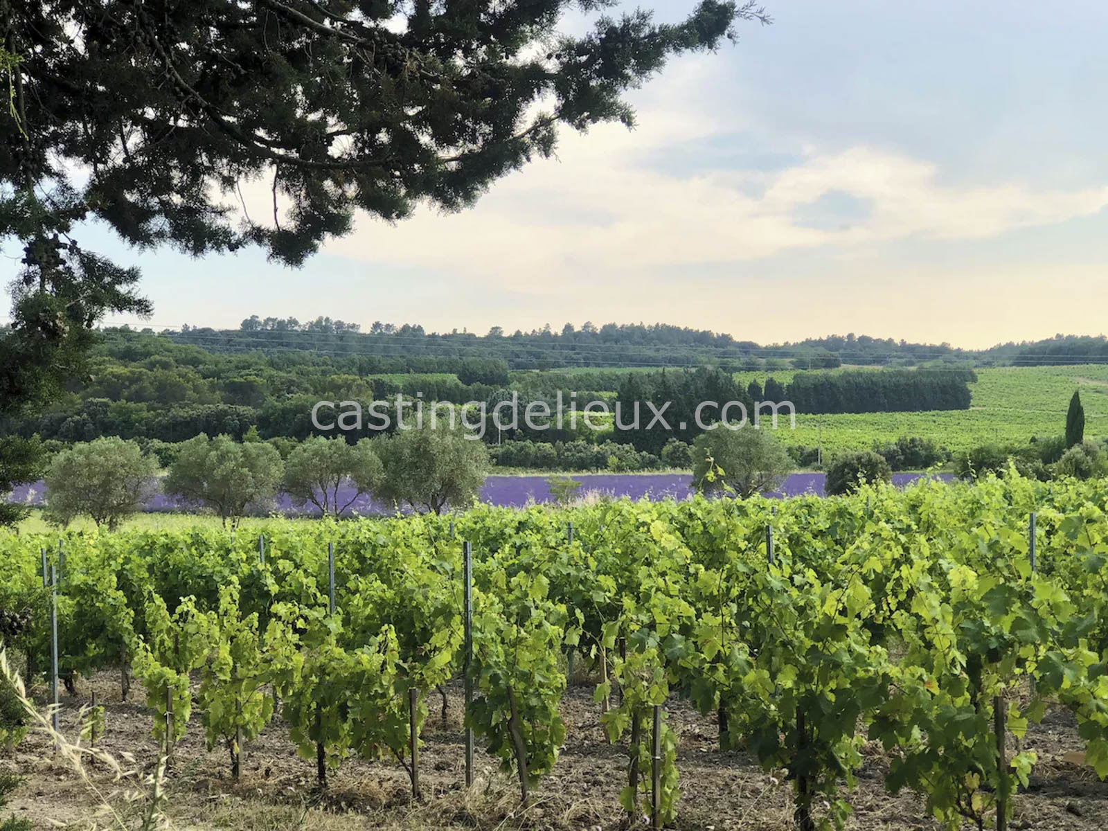 castingdelieux.com-FR193-location-lieux-tournage-shootingphoto-Vaucluse-46