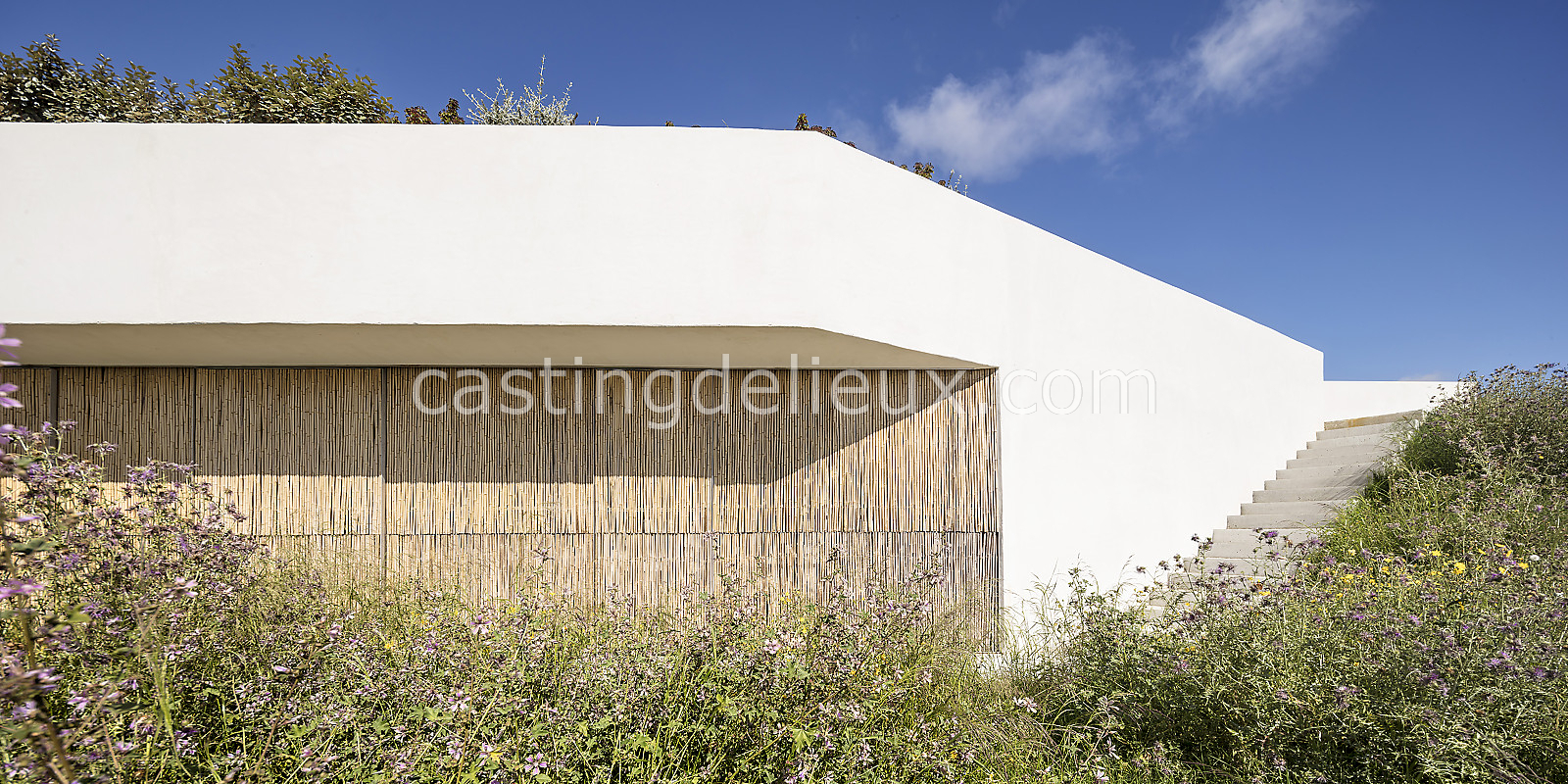 castingdelieux11-ES013-W