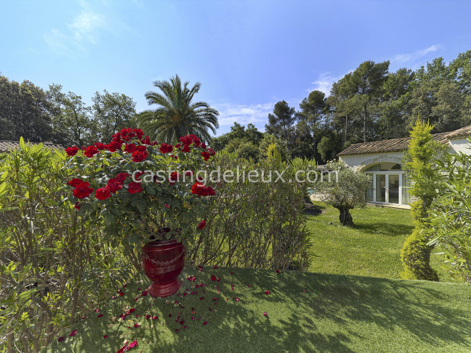 castingdelieux.com