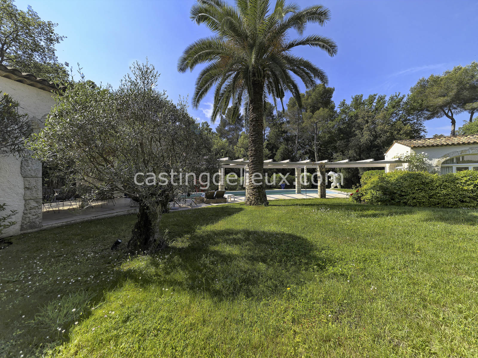 castingdelieux.com