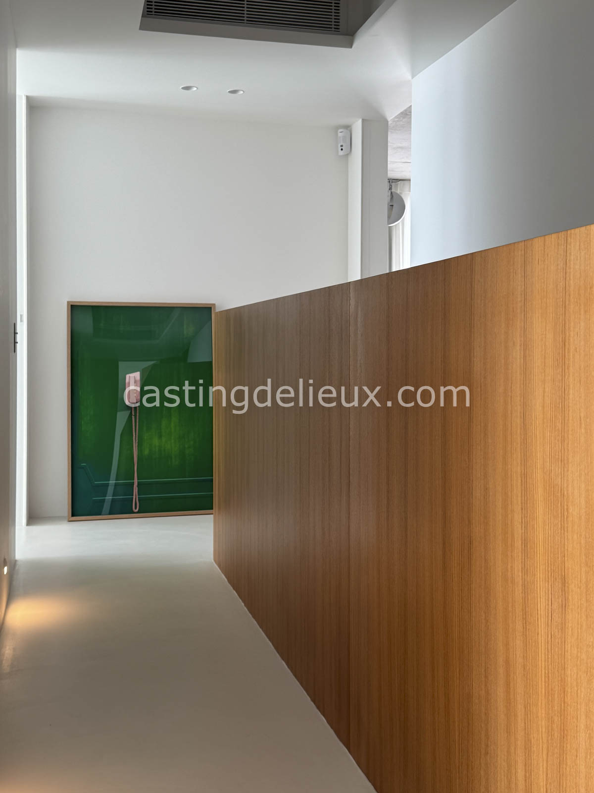castingdelieux.com