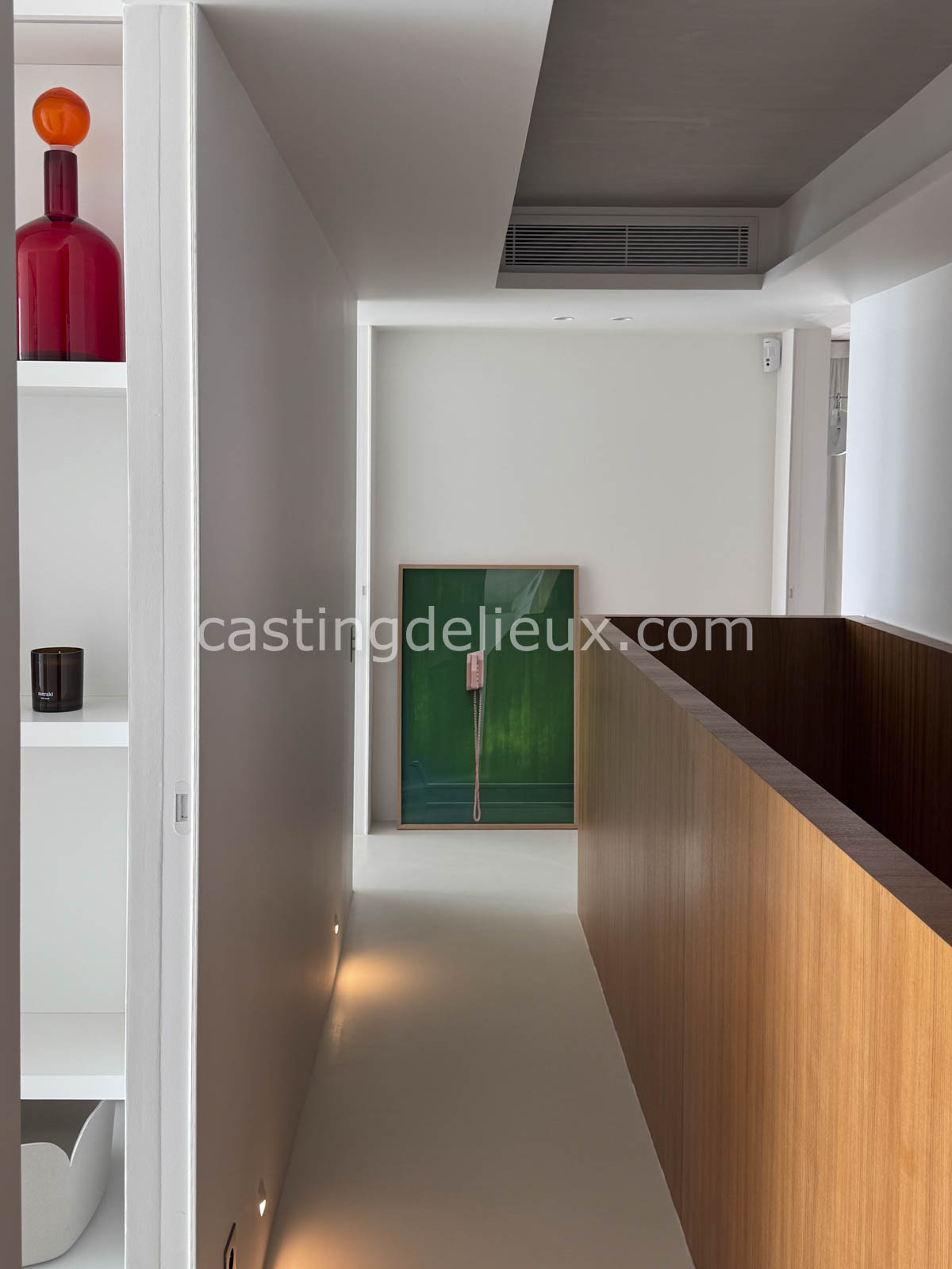 castingdelieux.com
