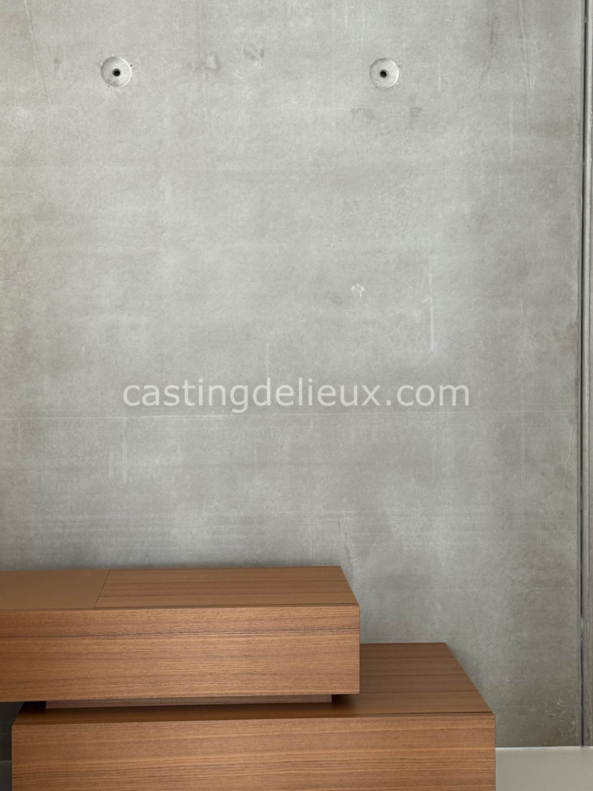 castingdelieux.com