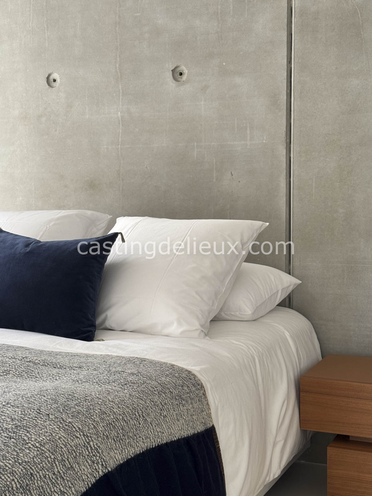 castingdelieux.com