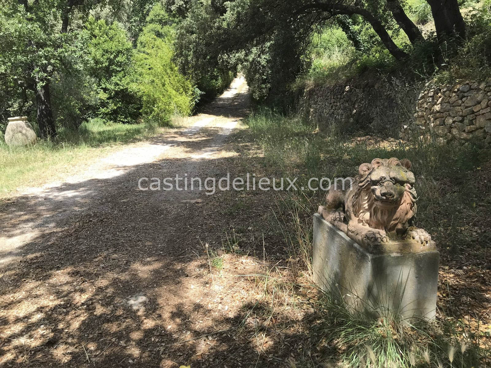 castingdelieux.com