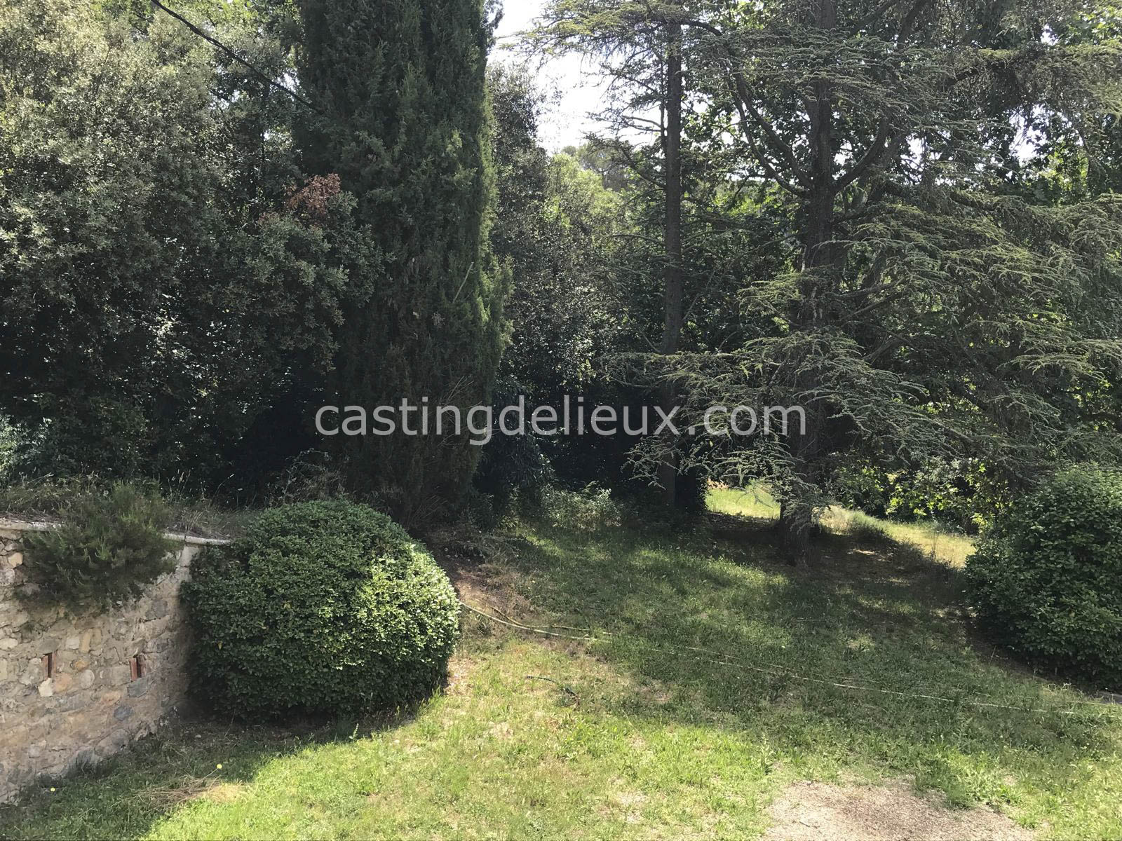 castingdelieux.com