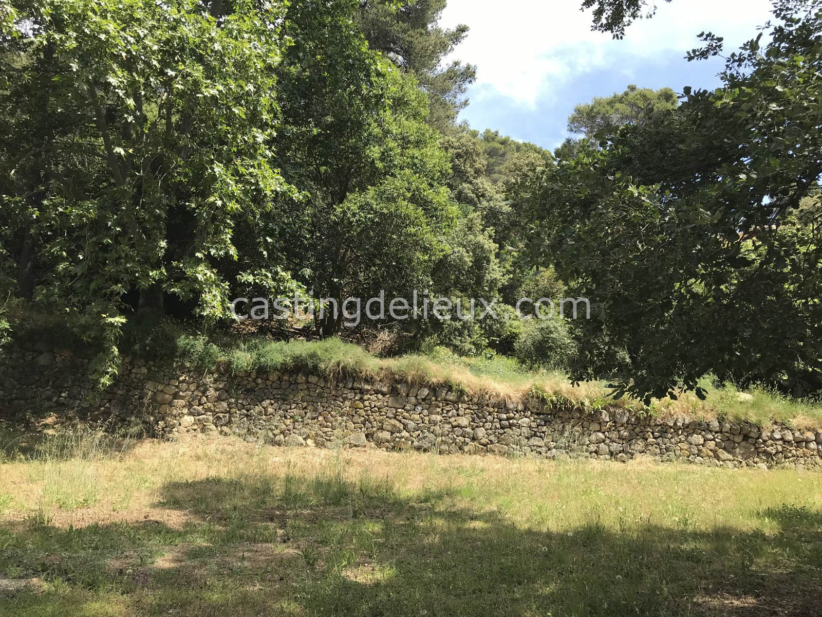 castingdelieux.com