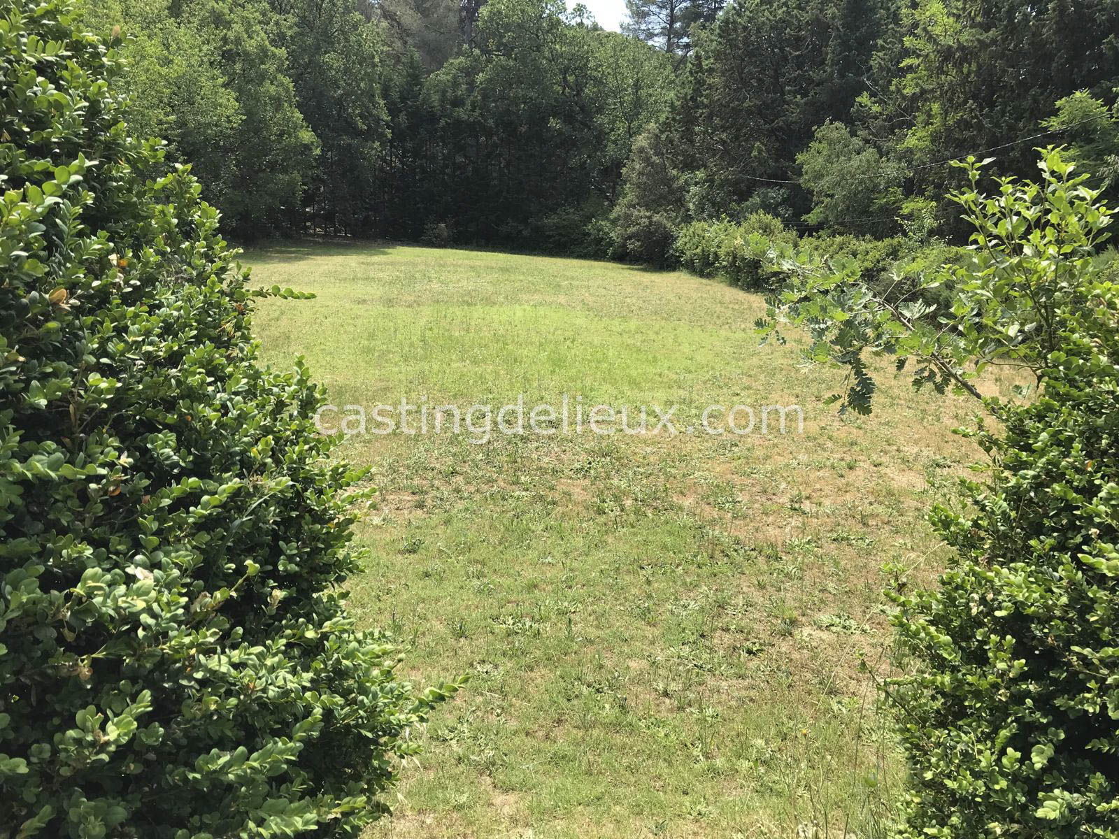 castingdelieux.com