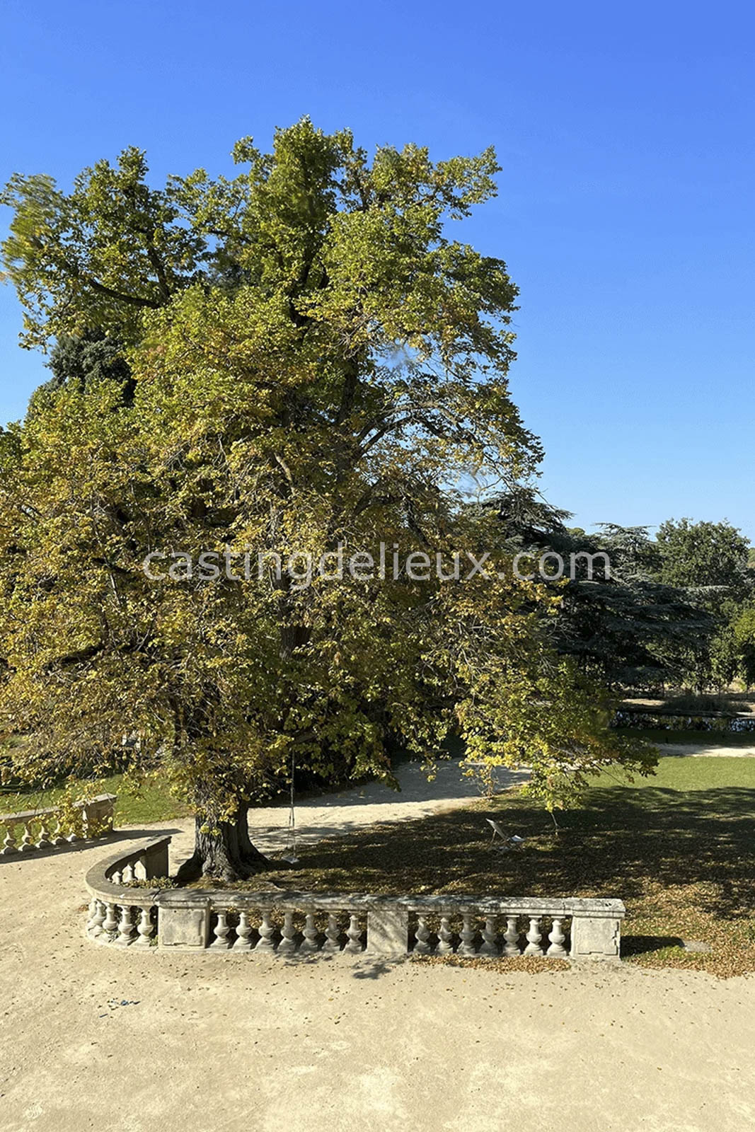 castingdelieux.com