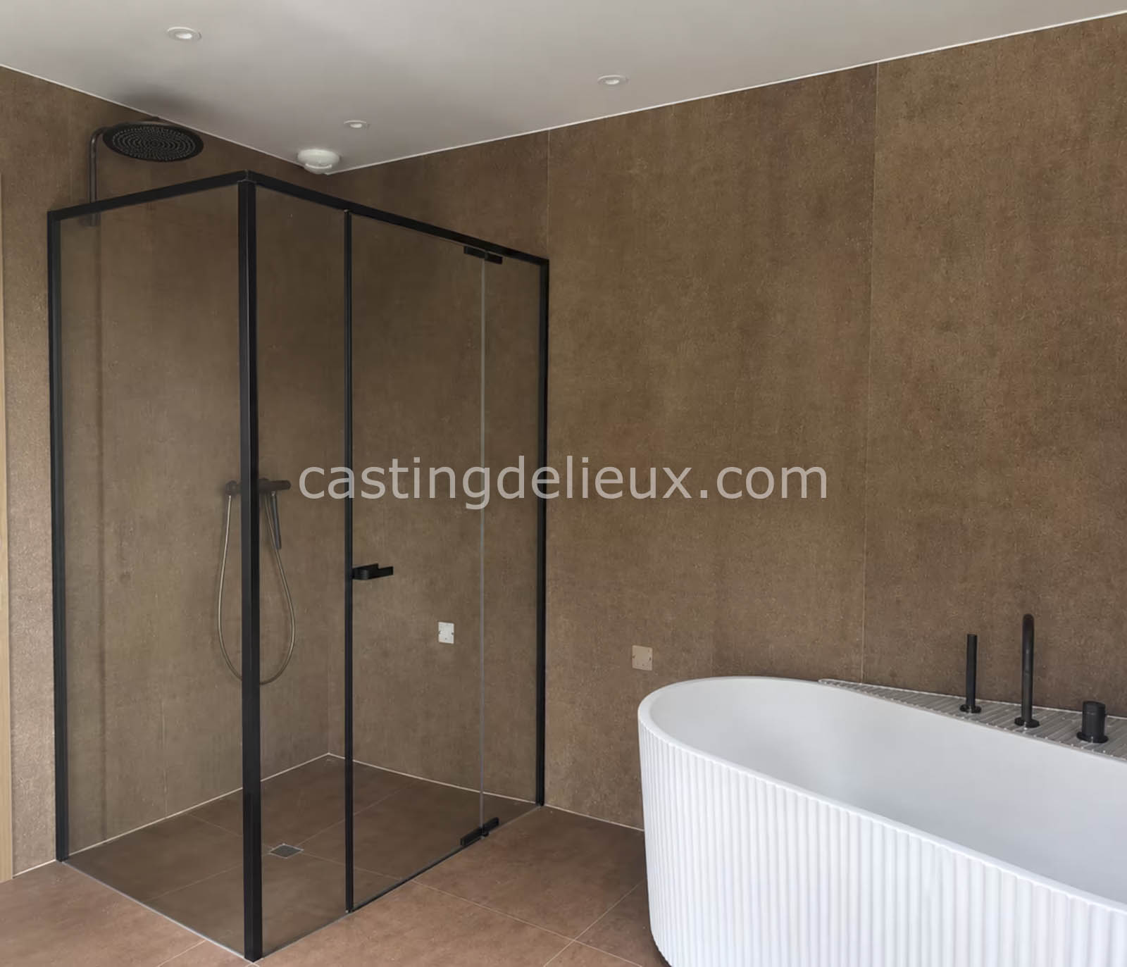 castingdelieux.com
