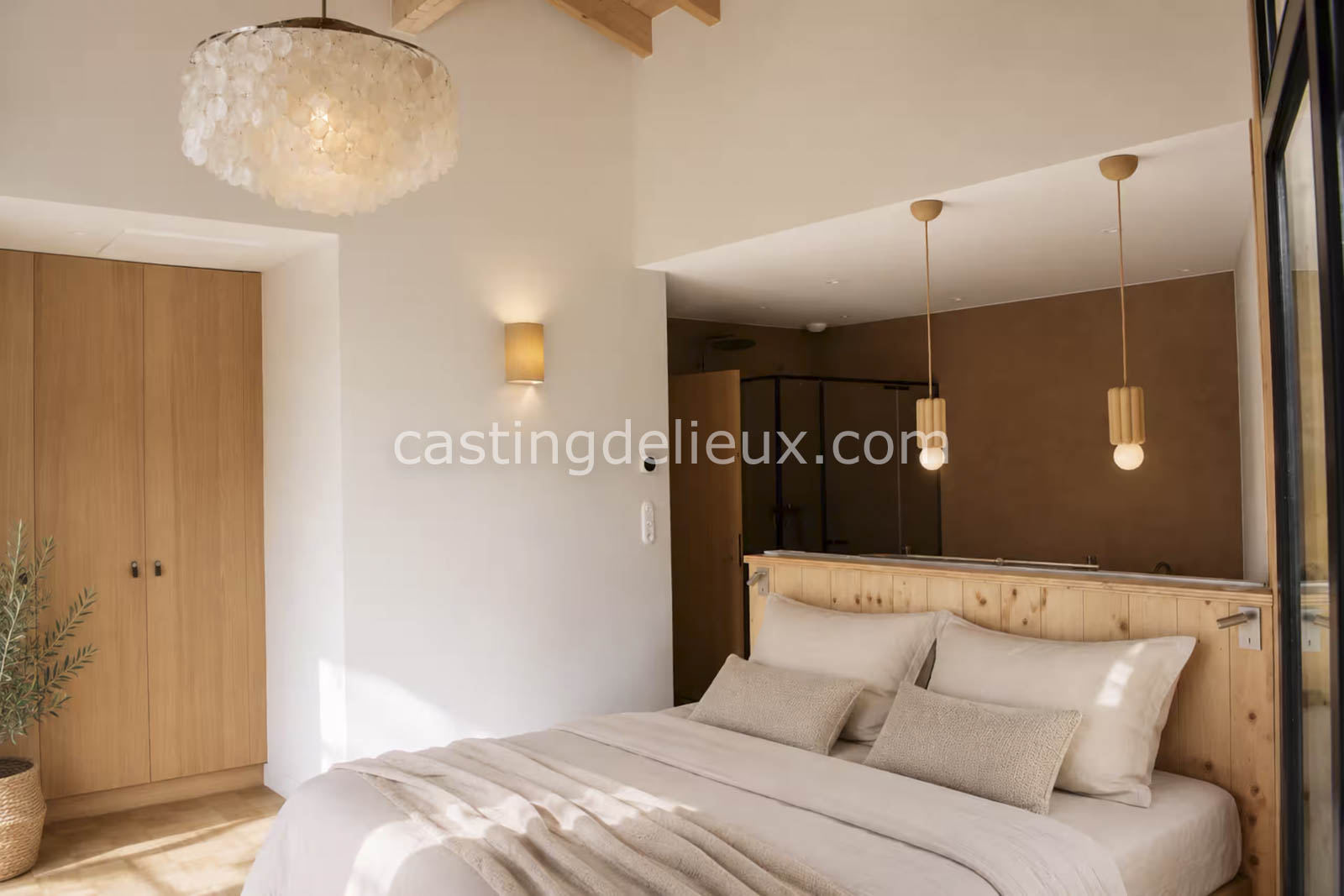 castingdelieux.com