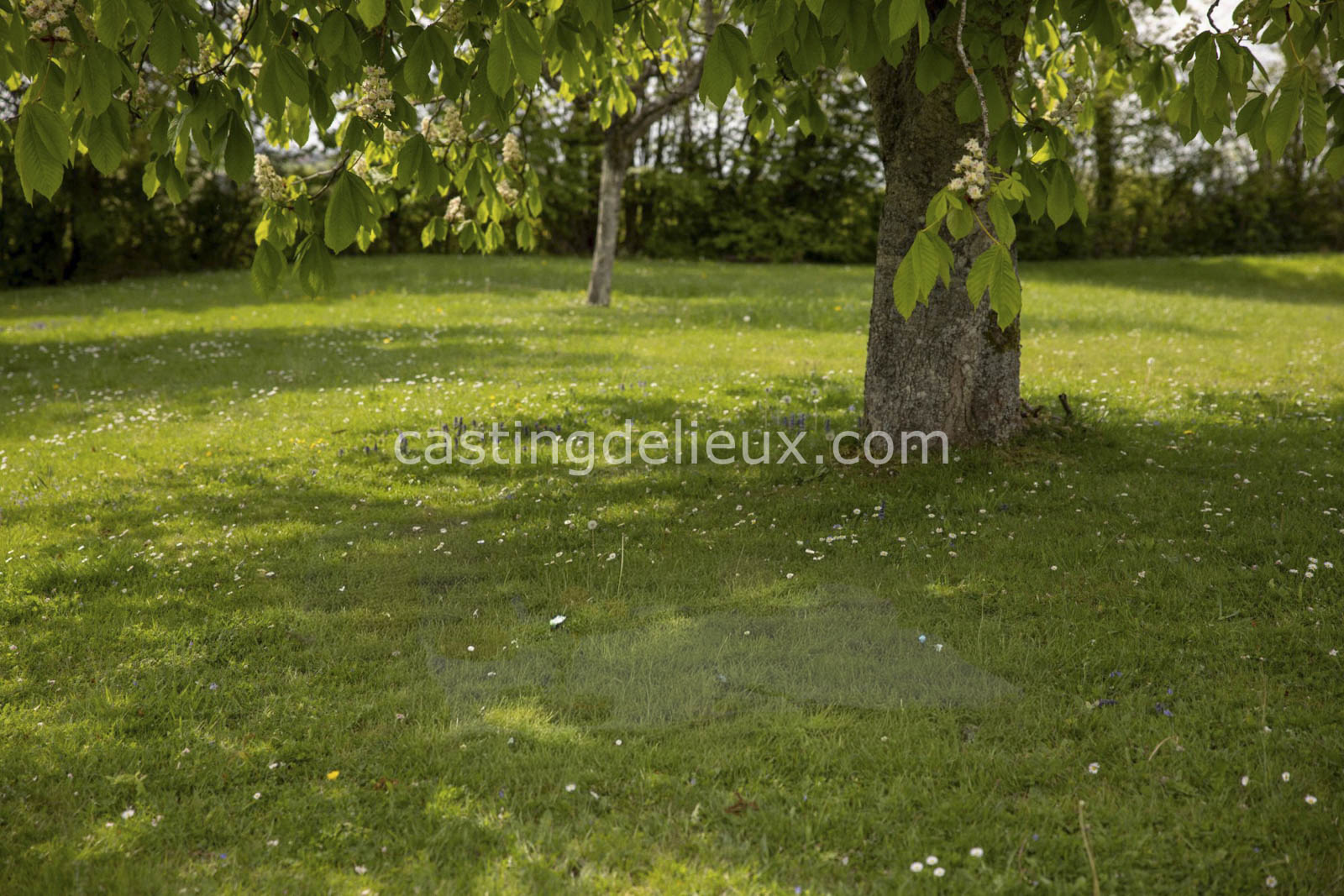 castingdelieux.com